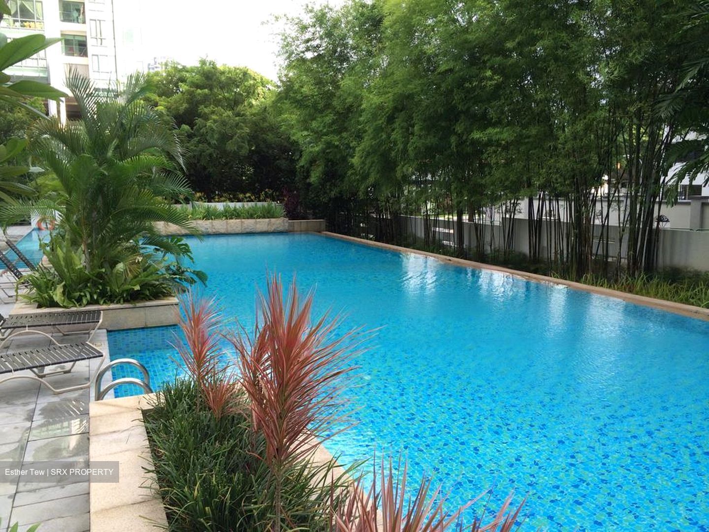 Mandale Heights (D11), Apartment #483667601